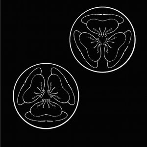 纲手被❌吸乳羞羞的游戏
